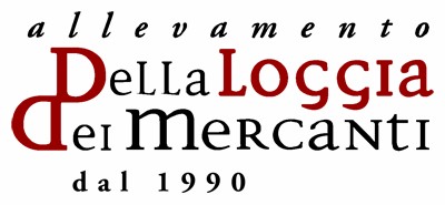 Allevamento della Loggia dei Mercanti