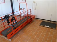 tapis roulant per gli esercizi